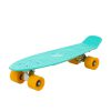 Penny Board Pocket Mint